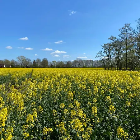 Nordapart Anne Bessrich Apartament