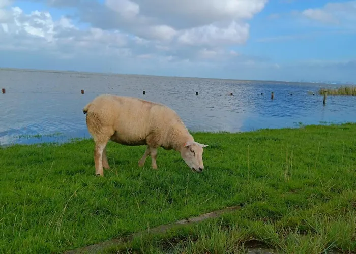 Nordapart Anne Bessrich * Butjadingen