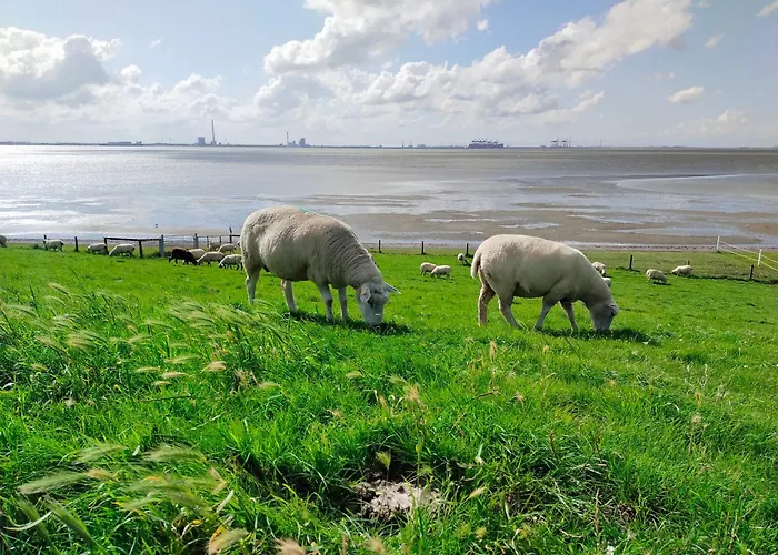 Nordapart Anne Bessrich * Butjadingen